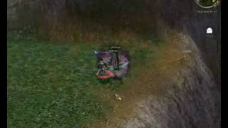 BmProtex DDMT2 Hungary PVP Server LvL(87)