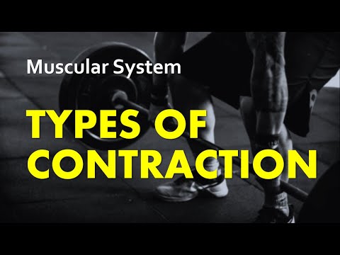 Types of Contraction | Muscular System 04 | Anatomy & Physiology