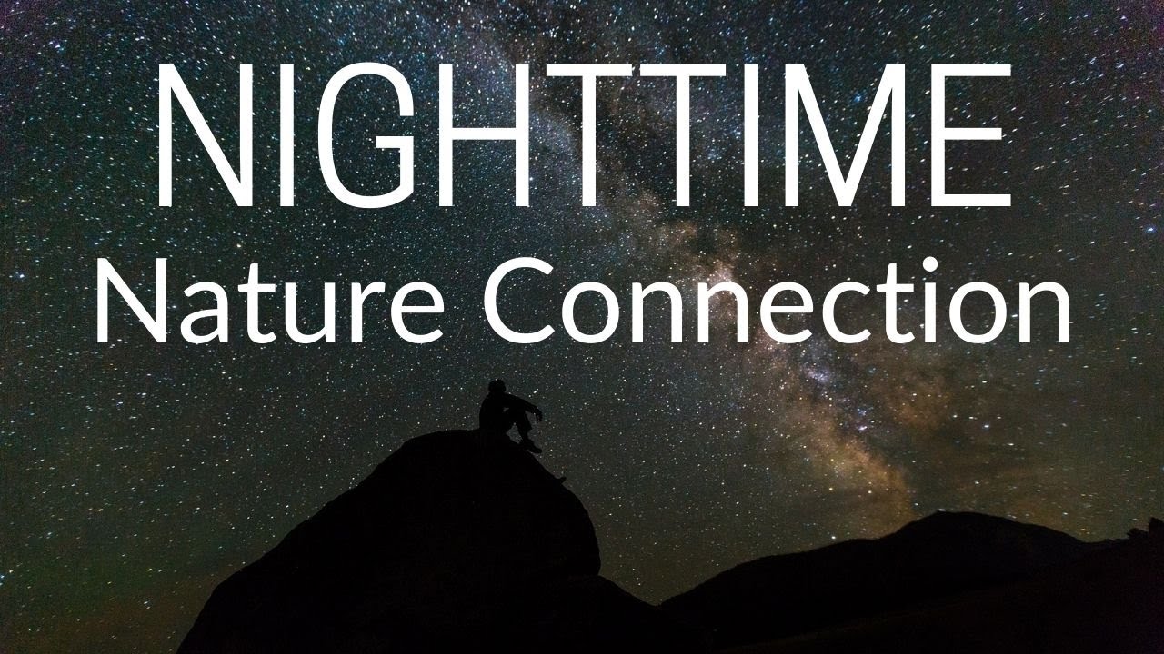 Nighttime Nature Connection | Night Walking | Stargazing