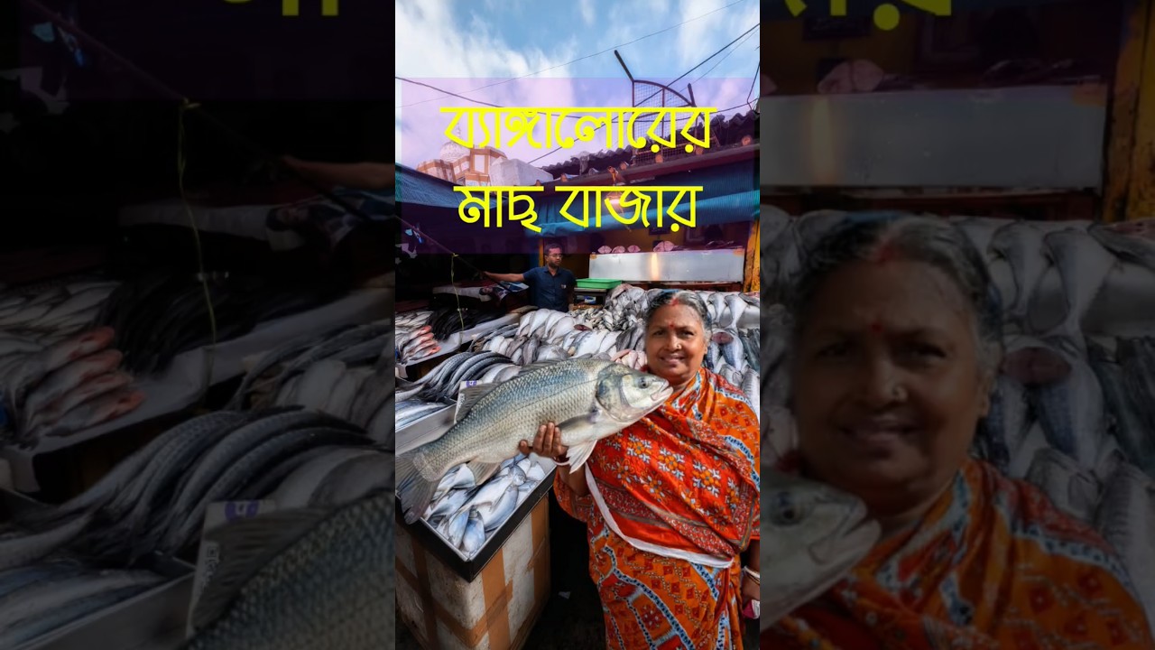 ব্যাঙ্গালোর ফিস মার্কেট মিনি ভ্লগ 🐟😂