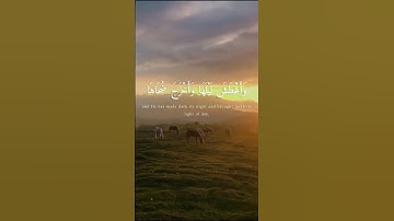 أَأَنتُمْ أَشَدُّ خَلْقًا أَمِ السَّمَاءُ ۚ بَنَاهَا | سورة النـازعـات