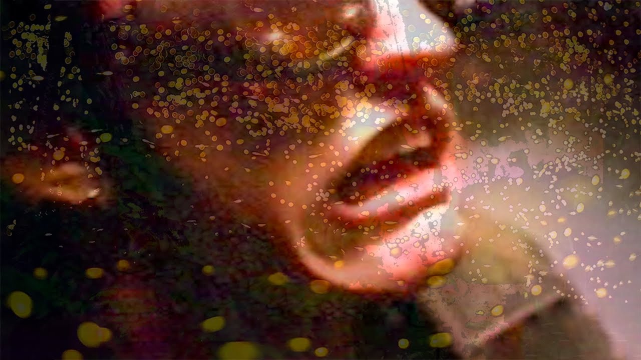 Closerflies Neil Cicierega (Unofficial Music Video from Mouth Dreams