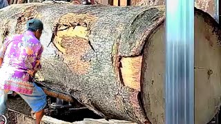 Anti Termite || Sawing Excellent Soft Wood screenshot 1