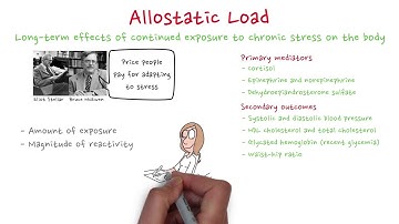 Allostatic load