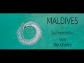 MALDIVES | See from the Sky
