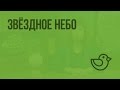 Звездное небо. Видеоурок по окружающему миру 2  класс