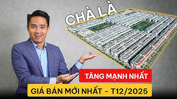 TỔNG HỢP GIÁ BÁN CHUYỂN NHƯỢNG PHÂN KHU CHÀ LÀ | VINHOMES OCEAN PARK 2