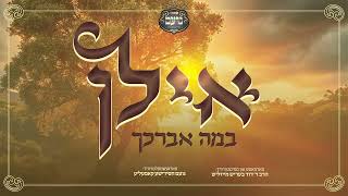 דוד בעריש מייזליש - אילן
