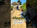 বন্ধু নির্বাচন কতটা গুরুত্বপূর্ণ?🤔 #friends #election #how #important #islamic #motivation #reels