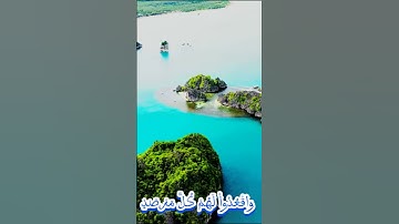 سورة التوبة و.،كا.،نك تسمعها لأ..و..ل مر.ة ❣️🌸..💓💘، 🌹💮..💟بصوت الشيخ حمزة مدبو.ح ❣️💟؛؛💮. 🏵️،،🌺🏵️. 🌷،💞