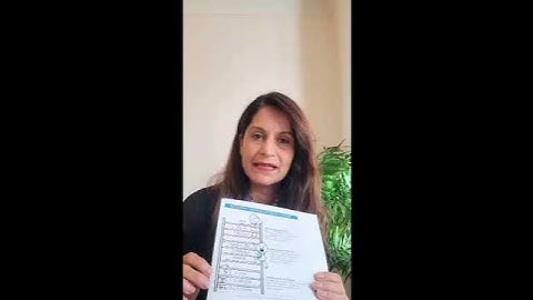 Workshop on Yoga and Polyvagal Theory - How healthy is your Nervous system?