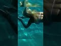 Underwater video - magic time #underwater