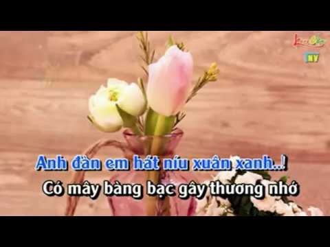 karaoke Tình Cầm