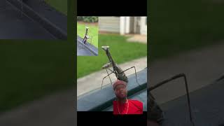 Download Lagu Signs from a praying mantis  #LifeIsAJourney #prayingmantis #PersonalGrowth #TrustTheProcess #New Download Lagu Signs from a praying mantis  #LifeIsAJourney #prayingmantis #PersonalGrowth #TrustTheProcess #New