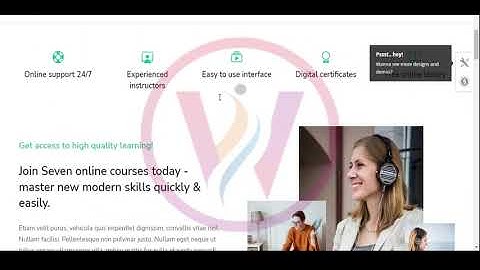 WordPress Theme The7 Demo Video