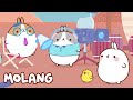 🩵✨ The Movie | Molang | Cartoons for Kids