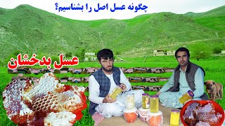 عسل کوهی ،دشت های بدخشان، دریایی کوکچه، قصه های بدخشانی Badakhshan faiz‍abad
