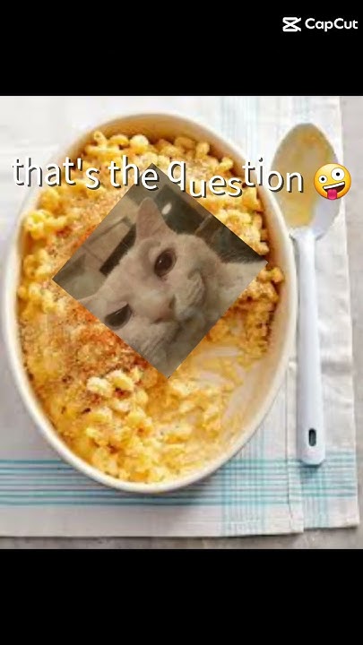 what-will-i-eat-tonight-youtube