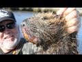 Hunting giant swamp rats in Louisiana with a Ruger 10/22 - and a big stick!