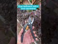 Пробую )#GreenDab #газон #озеленение #автополив #полив #ремонтполива #системаполива #ландшафт