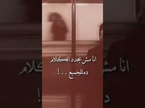 همشي بقانون تخون هخون
