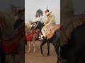 أجواء الدقة المراكشية في موسم مولاي عبد الله أمغار الخيل التبوريدة المغرب الخيول