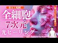 「約37兆の細胞に光を届ける」7次元・細胞の水アップグレードヒーリング ・眠りの6時間ワーク