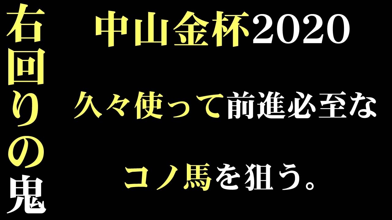 中山 金杯 オッズ