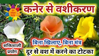 Kaner Ke Phool Se Vashikaran, फोटो से वशीकरण उपाय, कनेर के फूल से शक्तिशाली वशीकरण टोटका #vashikaran