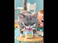 Baby vs Cat Cartoon Funny shorts #cartoon #kidstv #kidsshows  #cartoontv#trending