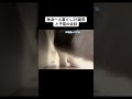 今日のラテ様、何か様子がおかしい…？#マンチカン #子猫