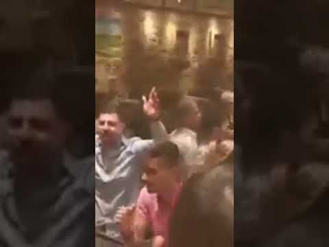 Πέτρος Σαριδάκης //
