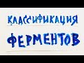 Классификация ферментов. ШПАРГАЛКА!