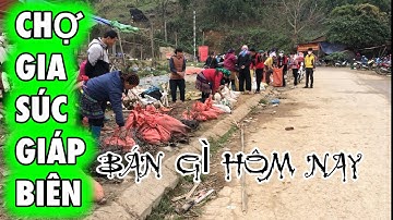 CHỢ PHIÊN TÂY BẮC - CHỢ GIA SÚC GIÁP BIÊN - CỐC LY BÁN NHIỀU DÊ VÀ LỢN ĐEN CHẤT LƯỢNG