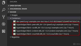 Famous Blockchain Development on Hyperledger Fabric using Composer : REST Server Overview Profile