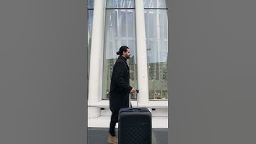 FLEX [VEGA 360°] by Rollink - The World