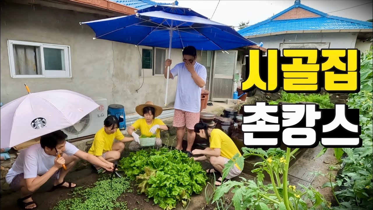 한국 시골집에 모인 내차타고 세계여행자 부부들(with 두발네발, 방랑찬솜)