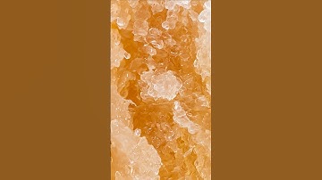 Can you guess what this macro photo is? Day 409