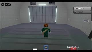 robloxapp 20250210 1802279