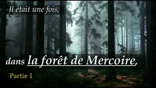 RANDO & BIVOUAC dans la forêt de Mercoire - Partie 1