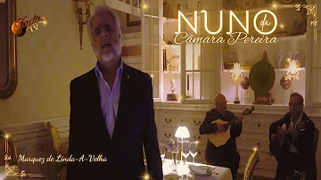 NUNO DA CÂMARA PEREIRA - " O Marquez de Linda a Velha " (Videoclip) | #FadoTV
