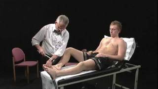 Neurological Examination of the Limbs  Explanation