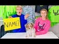 Choosing a Name for Our Baby Puppy!! (Sis VS Bro Challenge - You Decide)