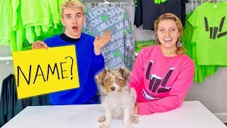 Choosing a Name for Our Baby Puppy!! (Sis VS Bro Challenge  You Decide)