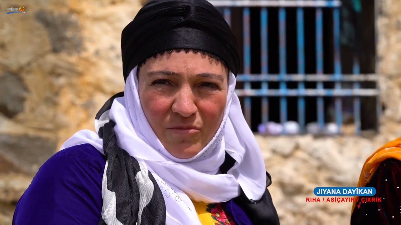 Jiyana Dayikan, Riha, jin, dayik, Stêrk TV