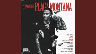 Plaga Montana