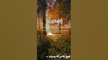 تلاوة خاشعة لشيخ ياسر الدوسري ❤️#قرآن #المصحف #اكسبلور #quran #الرحمن #دويتو #اكسبلور ..