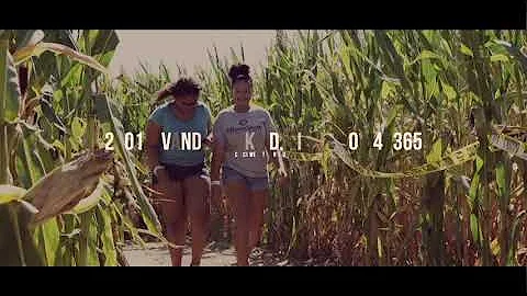 Vandemark Farm - A full day of family fun in Sidne...
