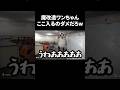 皆は犬何好き?俺は…お前g #shorts