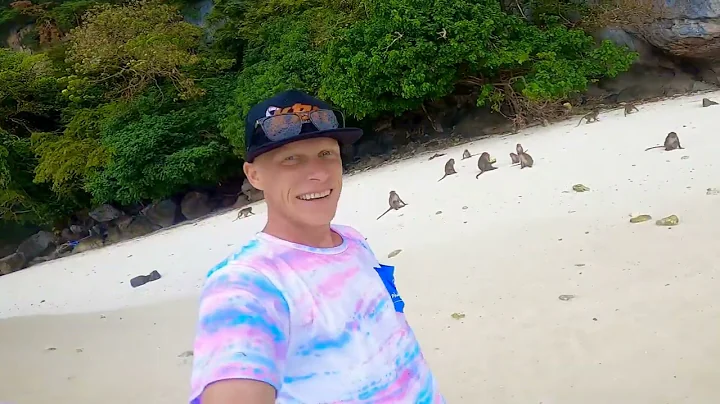 Monkeys Bully Kayaker || ViralHog